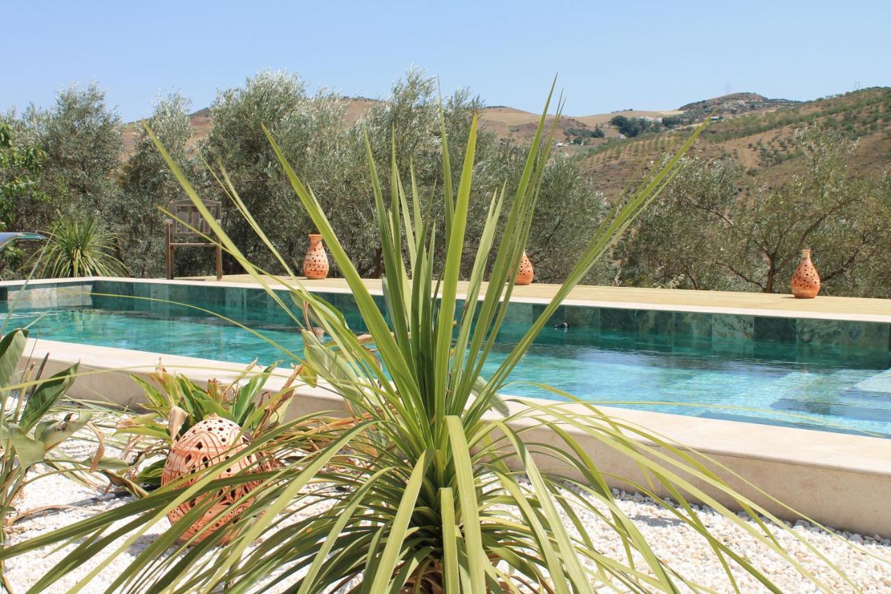 Finca Altozano - Private Pool - Unique Client Valle de Abdalagis Exterior photo