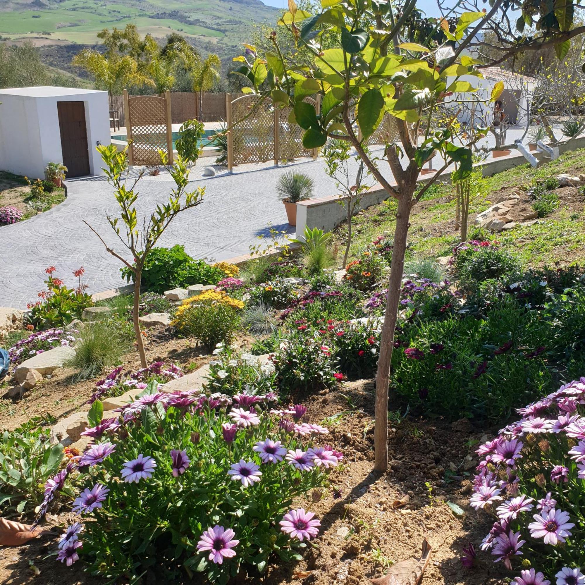 Finca Altozano - Private Pool - Unique Client Valle de Abdalagis Exterior photo