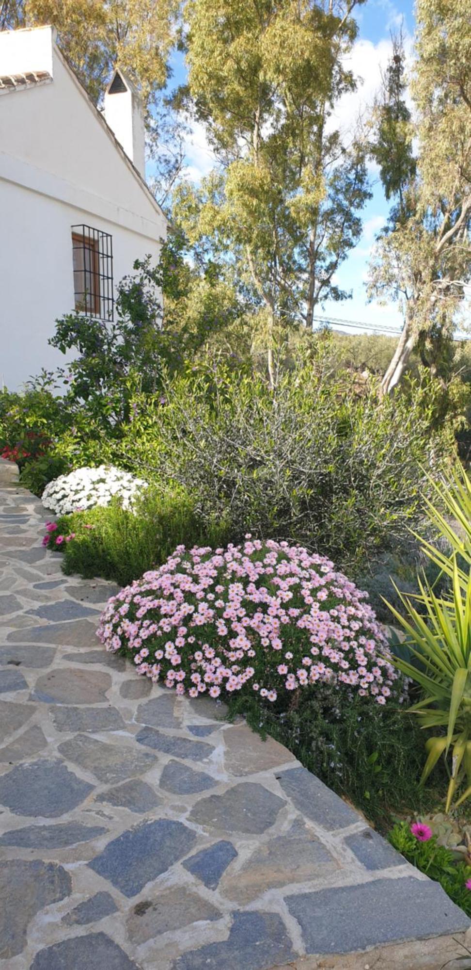 Finca Altozano - Private Pool - Unique Client Valle de Abdalagis Exterior photo